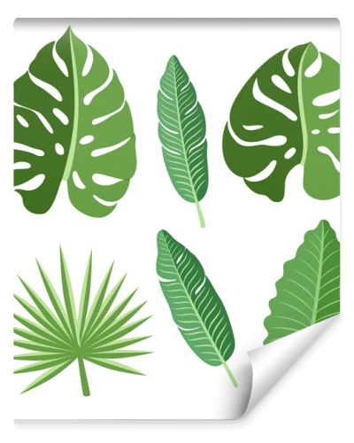 Vector tropical leaves set.