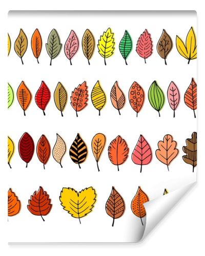 Elegant and beautiful autumn leaves and elements. Bright images for Thanksgiving Day