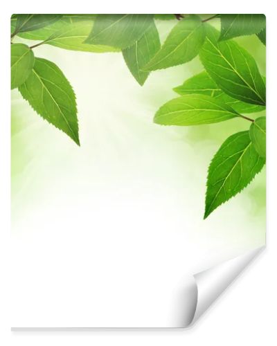 Green leaves border with copy space