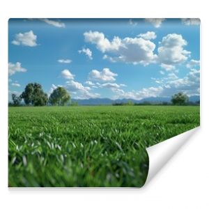Zielona łąka pod błękitnym niebem z chmurami