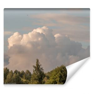chmury i drzewa