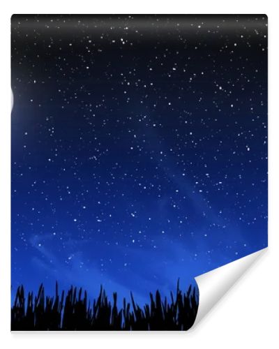 Deep night sky with many stars and grass