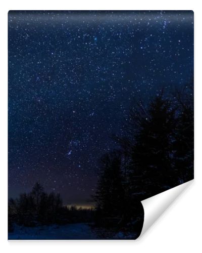 starry dark sky and trees in carpathian mountains at night in winter