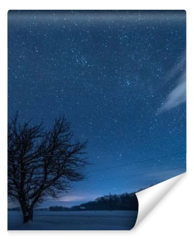 starry dark sky and tree in carpathian mountains at night in winter