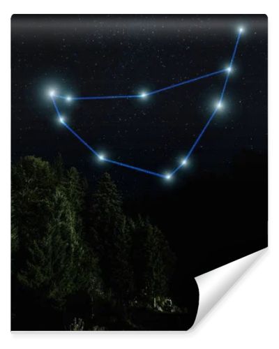 dark landscape with night starry sky and Capricorn constellation