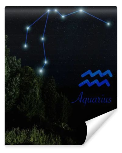 dark landscape with night starry sky and Aquarius constellation