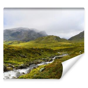 Peaceful stream flowing through a green mountain landscape