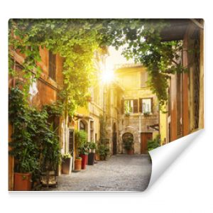 View of Old street in Trastevere in Rome
