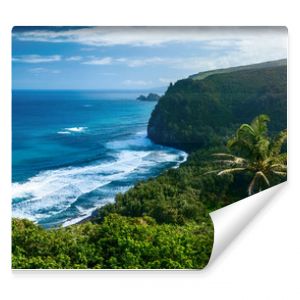 Panorama of the northern coast of the Big Island with steep green cliffs and blue Pacific Ocean, Hawaii