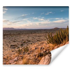 Panoramic landscape photo views over the kalahari region in South Africa