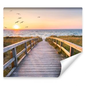 Beautiful dunes beach at sunset, North Sea, Germany