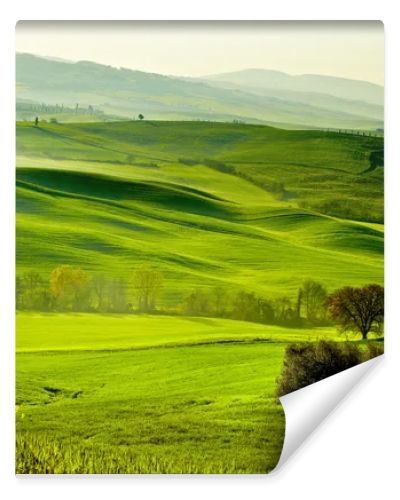 Countryside, San Quirico Orcia , Tuscany, Italy