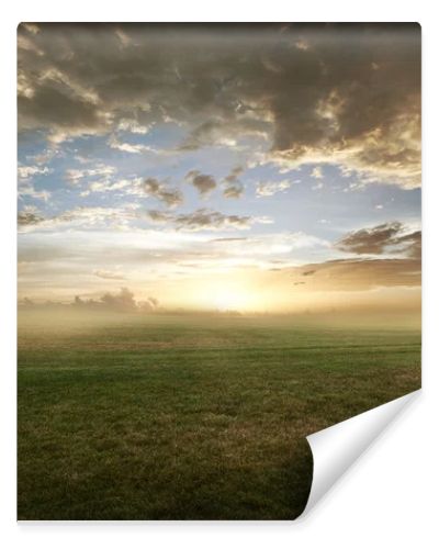 Grassy field sunset