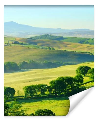 Tuscany green hills in Italy