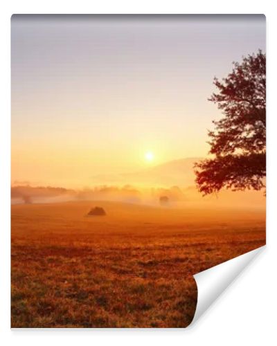 Alone tree on meadow at sunset with sun and mist - panorama