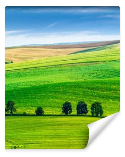 Rolling landscape of South Moravia with trees.