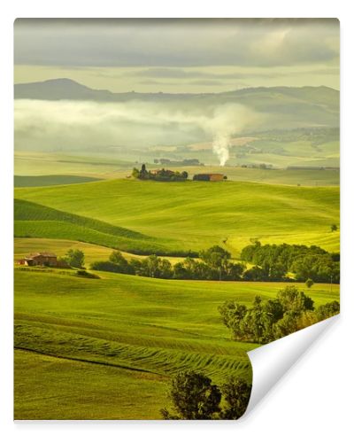 green hills in Tuscany