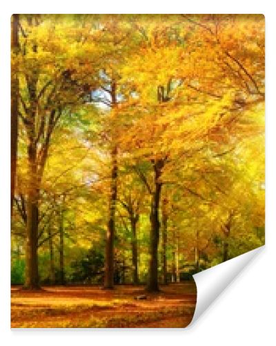 Gorgeous autumn panorama of a sunny forest