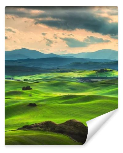 Tuscany spring, rolling hills on sunset. Rural landscape. Green 