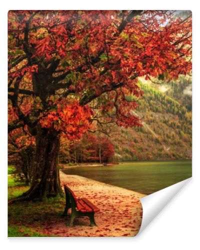 Lovely Autumn at the Sea of Kings