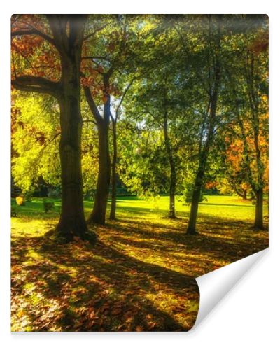 Beautiful colorful autumn.