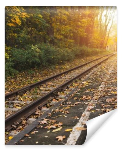 railway station in autumn forest