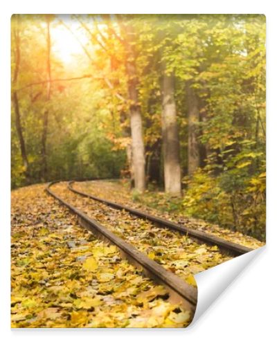 railroad in autumn forest