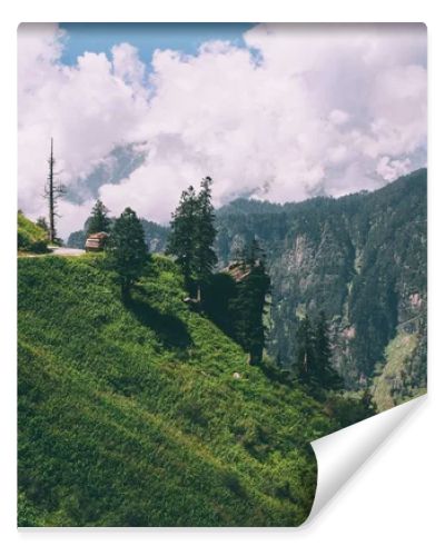 beautiful trees and road with car in scenic mountains, Indian Himalayas, Rohtang Pass  