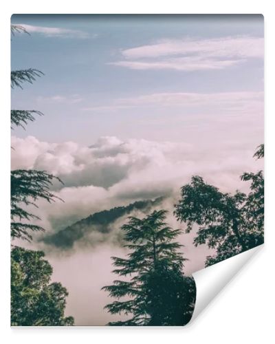 evergreen trees and beautiful mountains with clouds in Indian Himalayas 