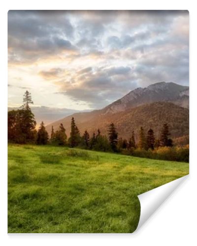 Beautiful summer landscape in the mountains. Sunrise