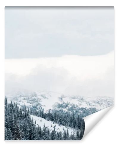 scenic view of snowy mountains with pine trees and white fluffy clouds