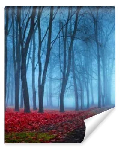 Beautiful Mystical Forest In Blue Fog In Autumn