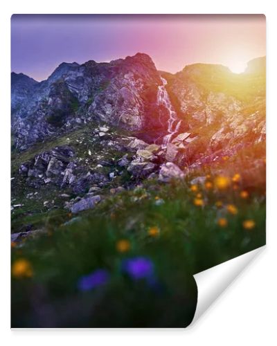 A waterfall in the mountains at sunset with a field of wild flowers in foreground