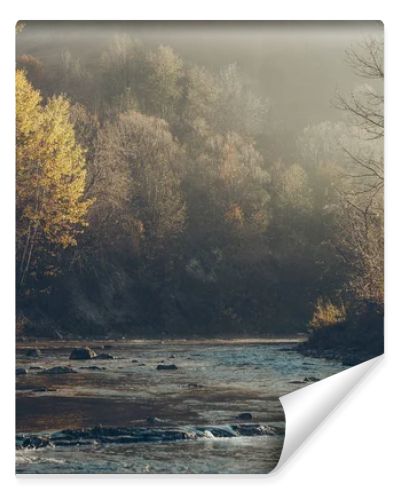 dramatic shot of mountain river and beautiful golden trees, Carpathians, Ukraine