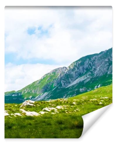 landscape of mountains and valley in Durmitor massif, Montenegro