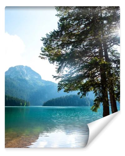 beautiful Bear mountain (meded peak), glacial Black Lake and trees on shore in Montenegro