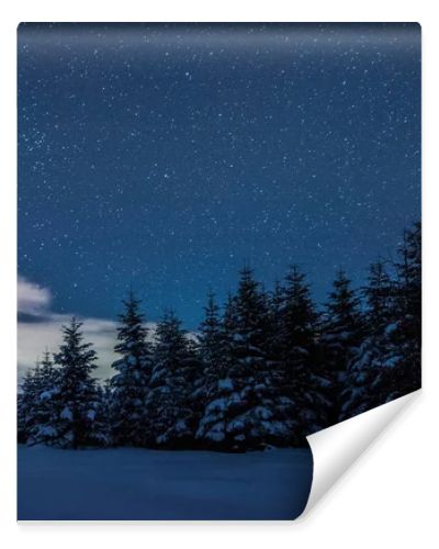 starry dark sky and spruces in carpathian mountains at night in winter