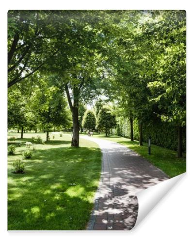 shadows on green grass with bushes and trees near path in park 