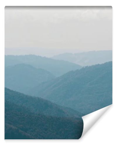 scenic mountain valley with green trees against sky 