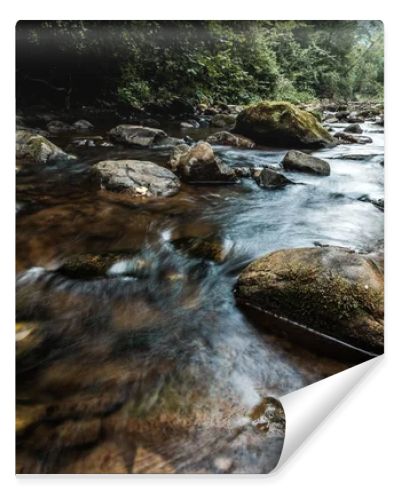 selective focus of flowing stream near wet rocks with green mold 