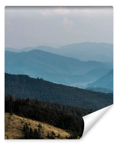 meadow in mountains with green trees against sky with clouds 