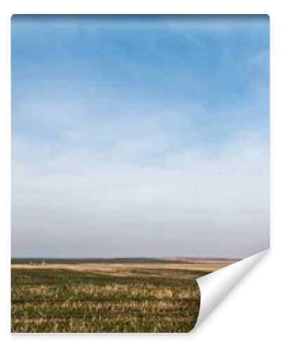 horizontal crop of grassy lawn against blue sky with clouds