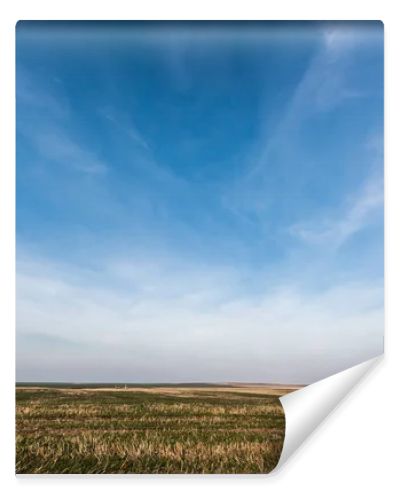 grassy lawn against blue sky with clouds