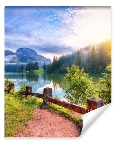 Majestic summer view of mountain lake Lacul Rosu or Red Lake or Killer Lake. Rotten tree trunks. Logs coming out of the water. Harghita County, Eastern Carpathians, Romania, Europe