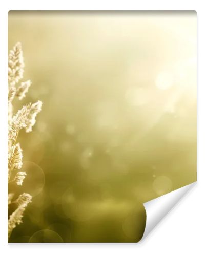 Art abstract autumn meadow background