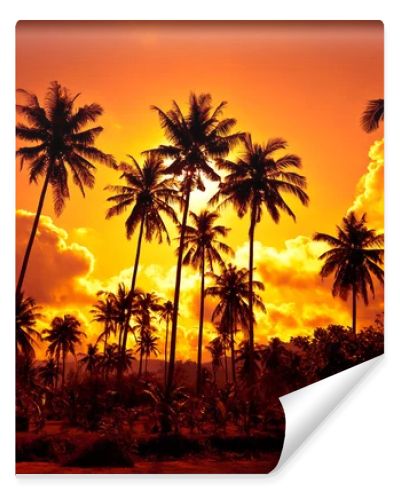 Coconut palms on sand beach in tropic
