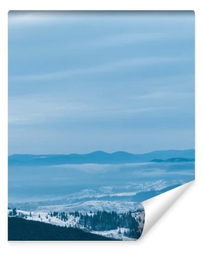 scenic view of snowy mountains with pine trees and cloudy sky