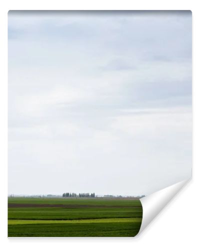 cloudy sky near green grass on field 