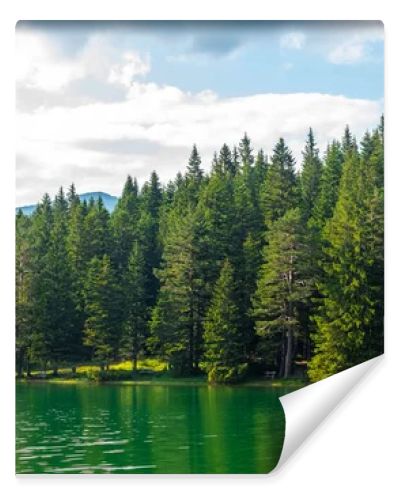 green forest and beautiful glacial Black Lake in Montenegro