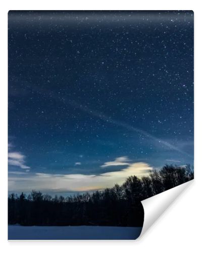 starry dark sky with sprucesin carpathian mountains at night in winter